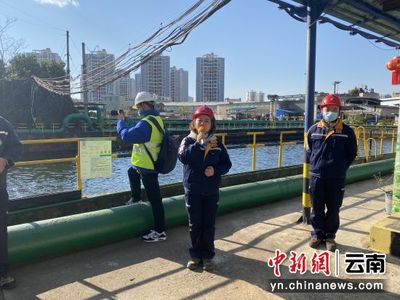 西南銅業開放環保成果，市民見證廢水養錦鯉、餐廚垃圾變資源